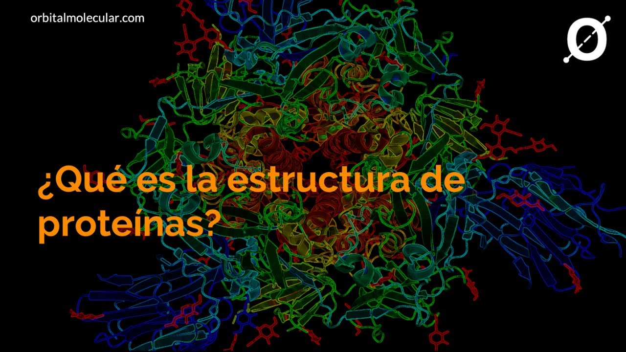 👍 - Estructura proteínas - primaria, secundaria, terciaria y cuaternaria