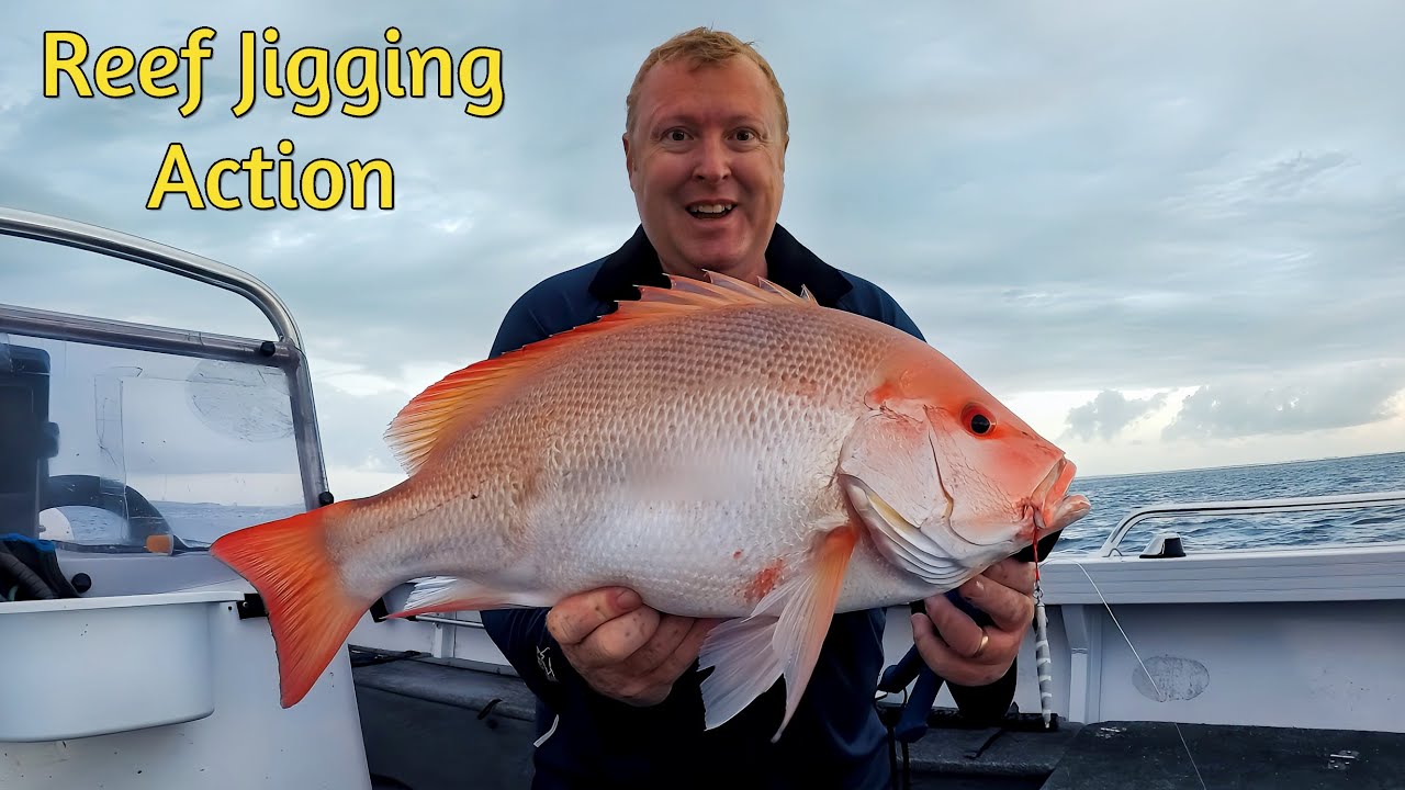🐟 Jigging the Shallow Reefs of Hervey Bay – Hooking Into Dinner!