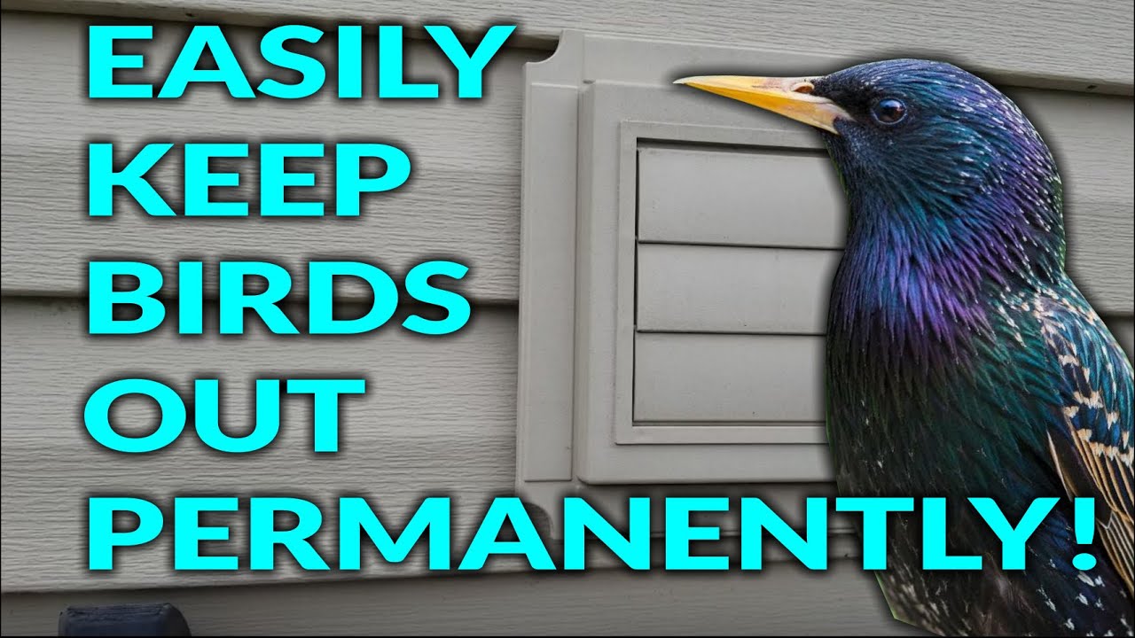 Bird Stop Vent Screen Guard Keep Pests Out Cheap, Easy & Quick!