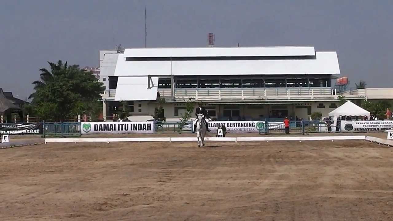 Elementary dressage fei test - Marshal & snowball