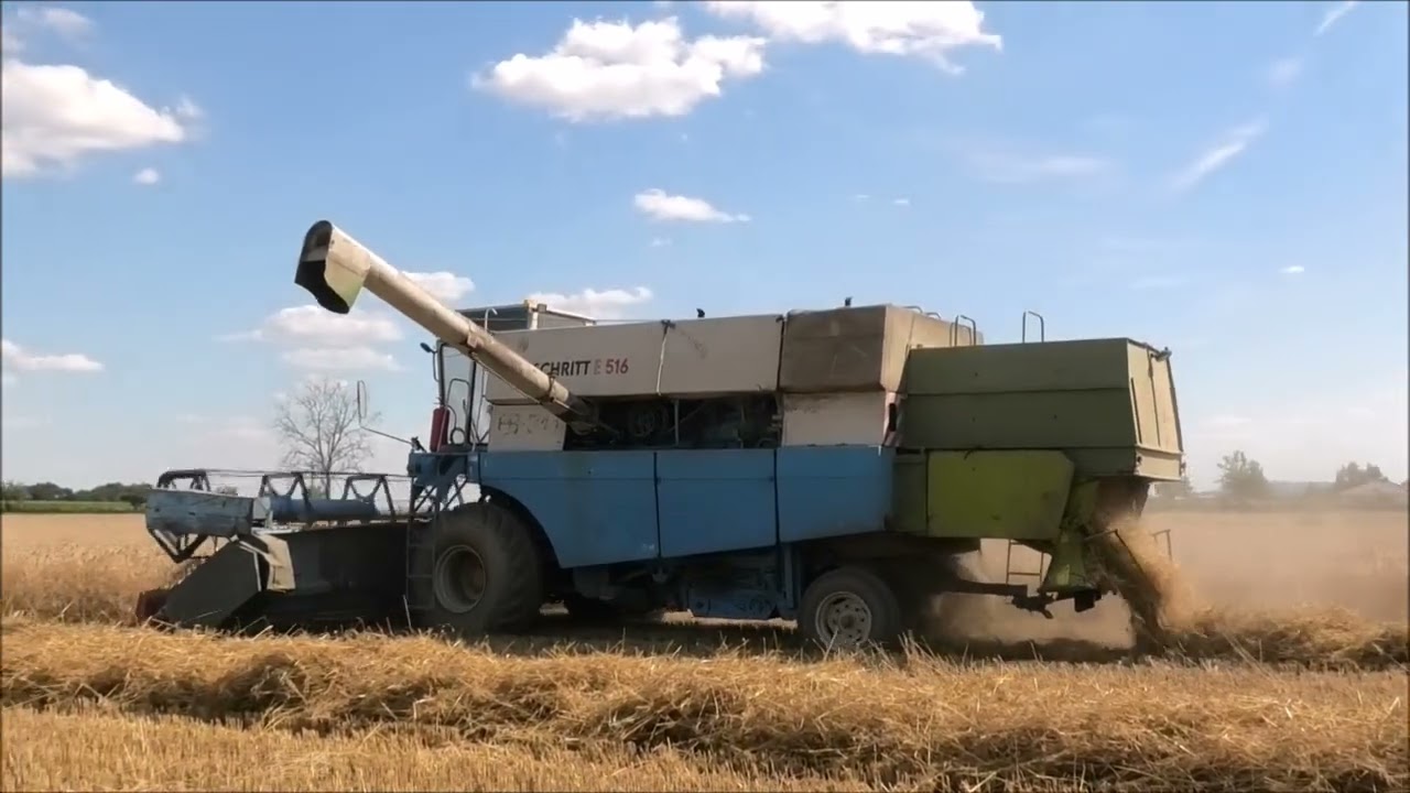 Sklizeň Pšenice Chrást - Fortschritt E516!