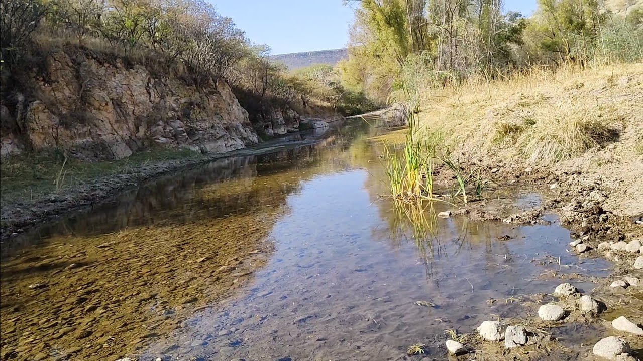 una muy buena pesca donde termina el rio con el amigo silverio