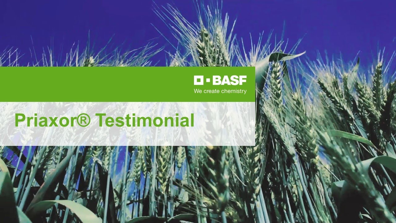 BASF Priaxor Testimonial