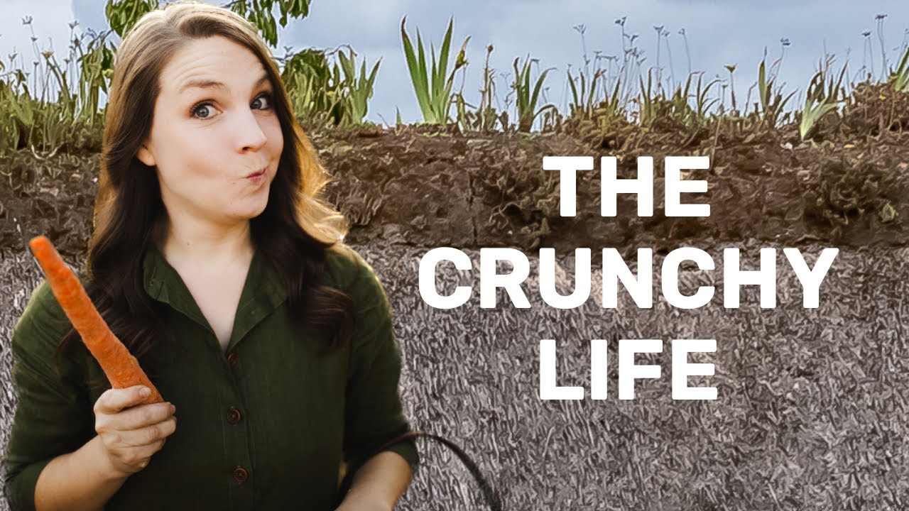 Life of a Crunchy Mom