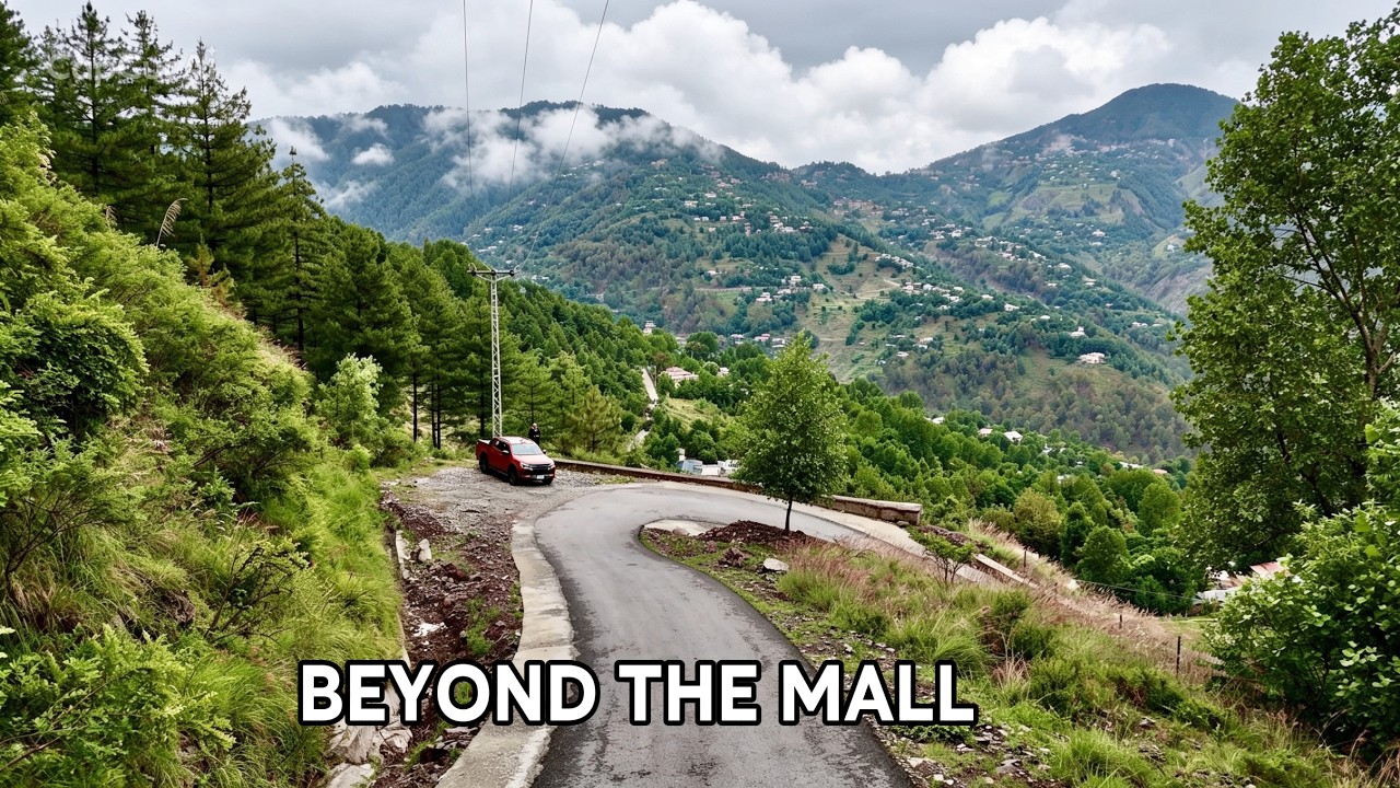 Murree | Through the Forest Roads of Bhurban