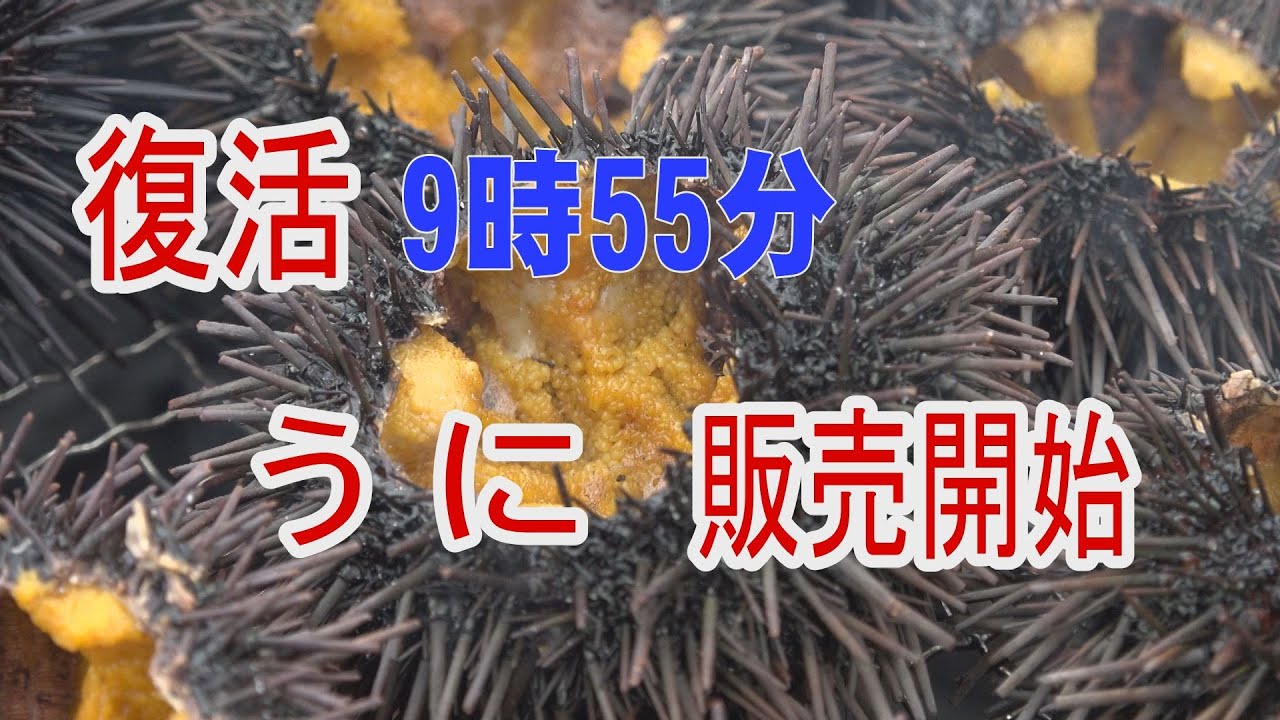 復活　ウニまつり