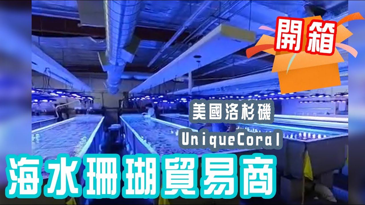 【藍箱水族】美國加州UniqueCoral海水珊瑚貿易商開箱！2019年參訪