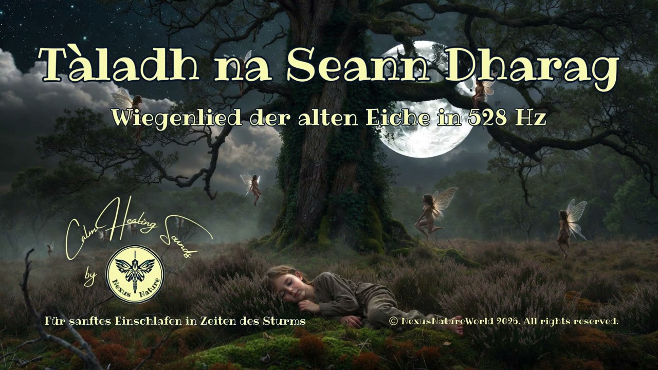 🎼 Tàladh na Seann Dharag ✨Wiegenlied der Alten Eiche in 528 Hz #lullaby 
