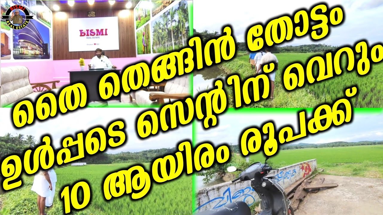 തൈ തെങ്ങിൻ തോട്ടം ഉൾപ്പടെ സെന്റിന് വെറും 10 ആയിരം രൂപക്ക് | plotes for sale |