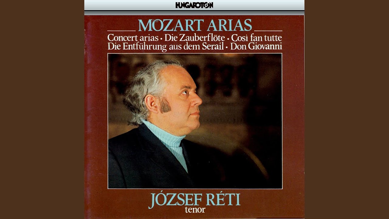 Operatic Arias: Don Giovanni: Il mio tesoro