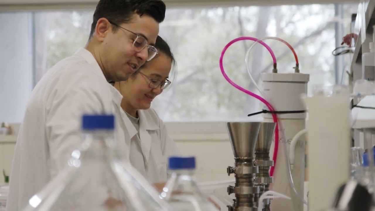 NSW takes action to phase out single use plastics and harmful chemicals - NSW Gov