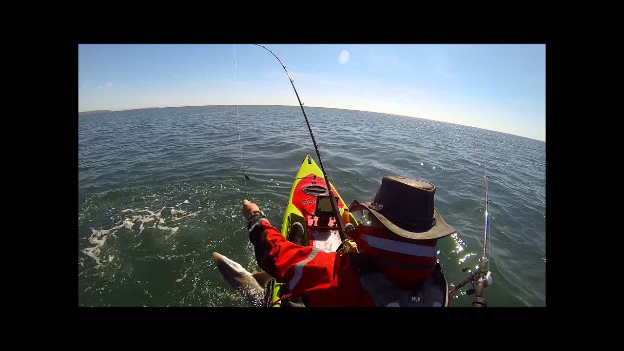 A Day's Tope Fishing on the kayak In Pembrokeshire