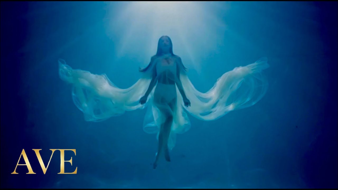 &ldquo;DRIP&rdquo; OFFICIAL MUSIC VIDEO