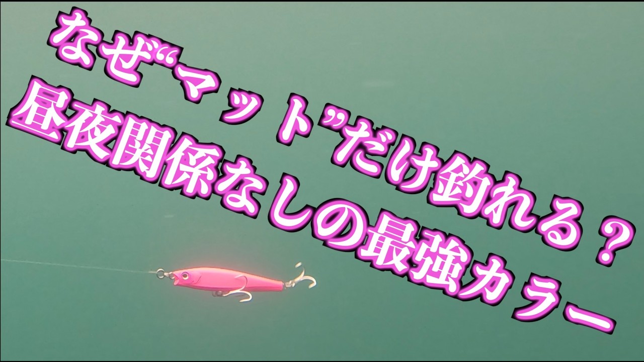 昼も夜も釣れる。マットカラーだけが釣れる理由