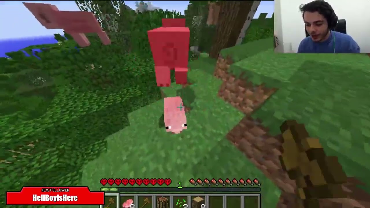 Codrin Bradea Minecraft Stream 2015/01/30