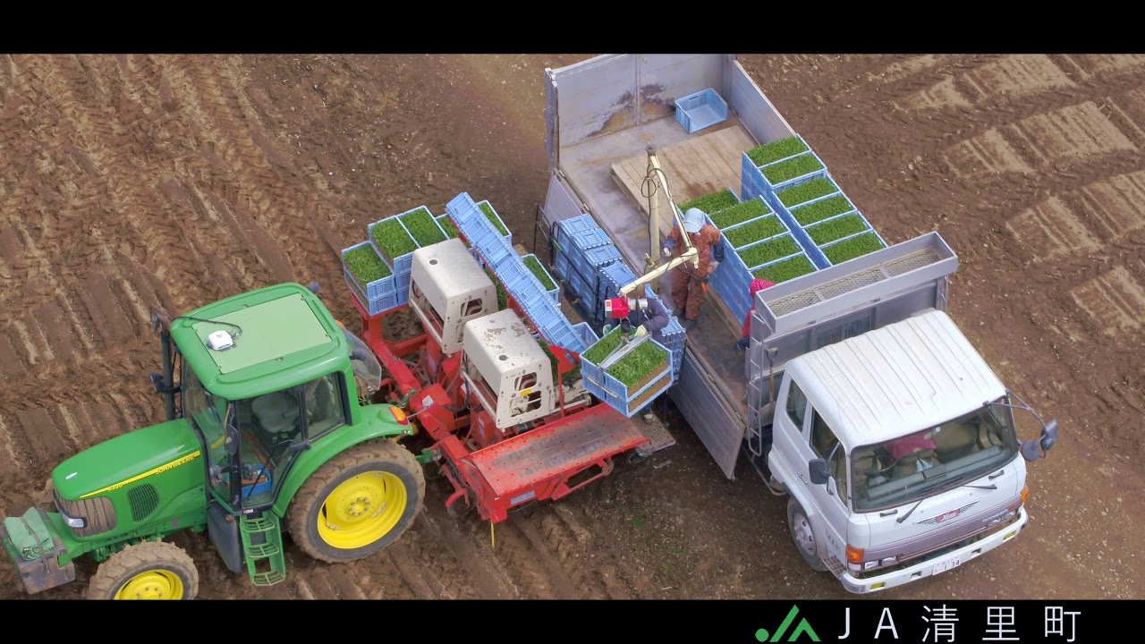 ＪＡ清里町【ビート】