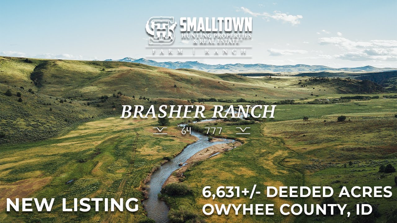 NEW LISTING | BRASHER RANCH | OWYHEE COUNTY, IDAHO