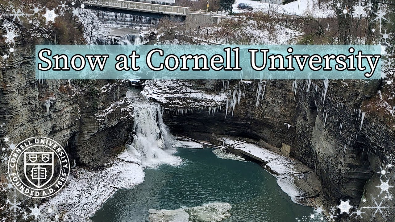 Snow at Cornell University