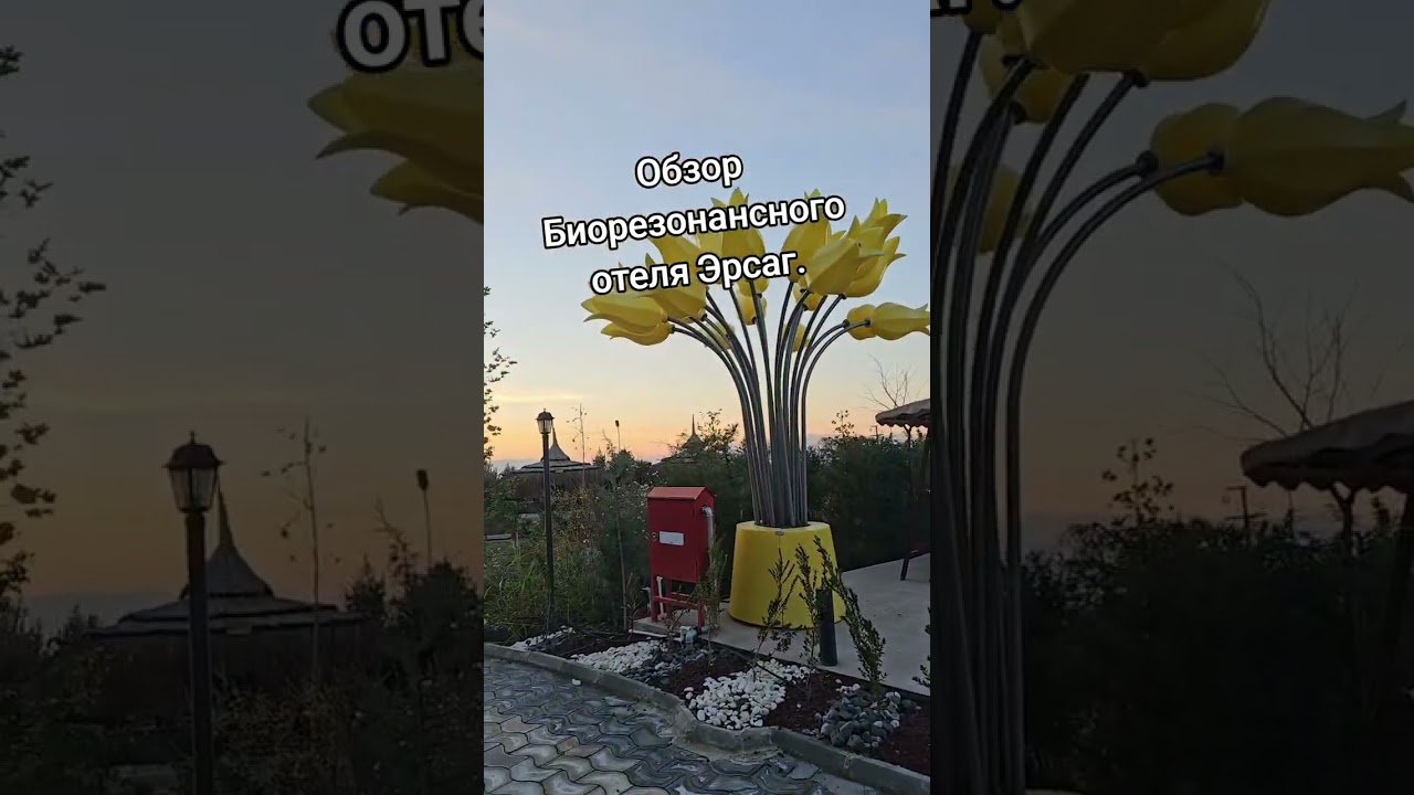 Быстрый обзор Биорезонанс Эрсаг . @nataelisina 