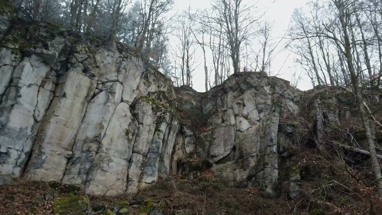 Westerwald: Watzenhahner Riesen