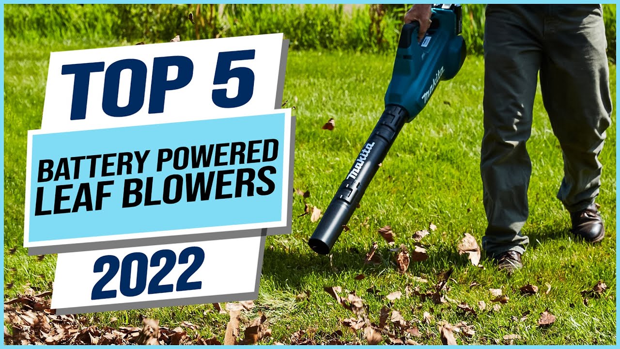 Top 5 Best Battery Powered Leaf Blowers 2023