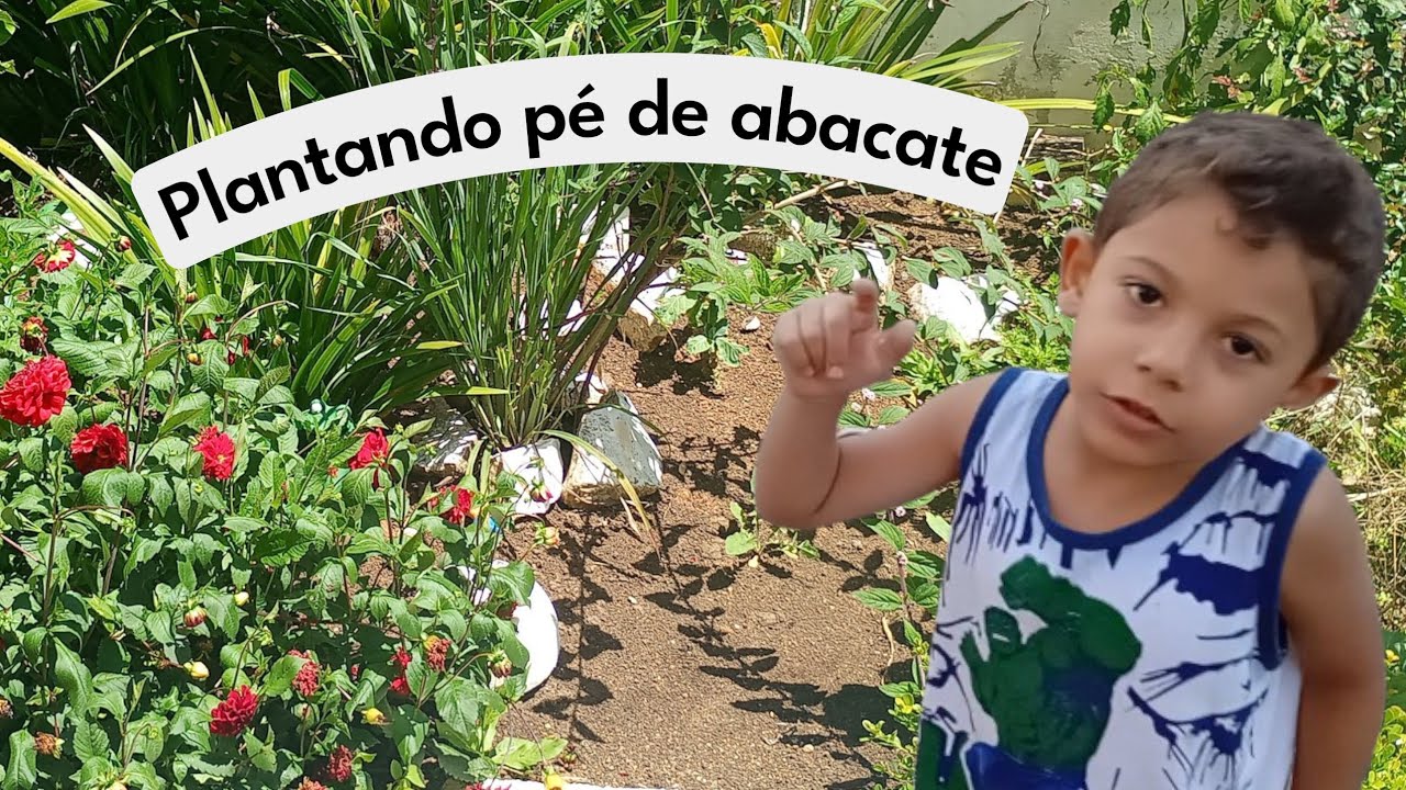 Plantando pé de abacate, e 😄😁no final deu gol (@EnzoEnzoEnzoka.2025)