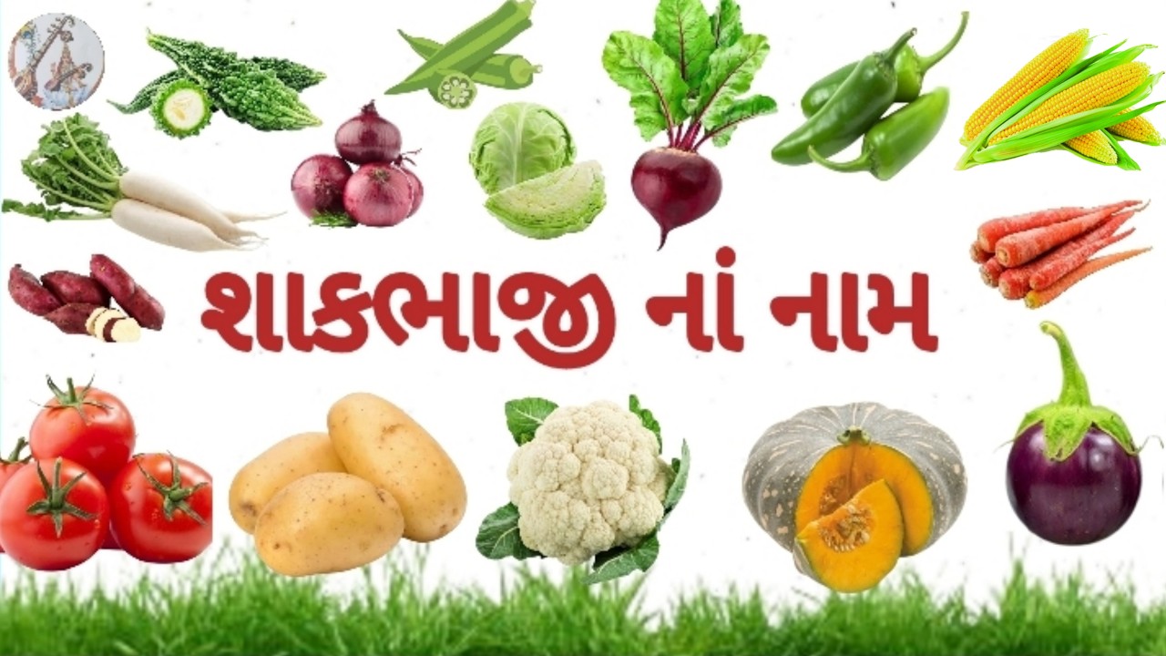 શાકભાજીના નામ | Vegetables Name In Gujarati  | kids video