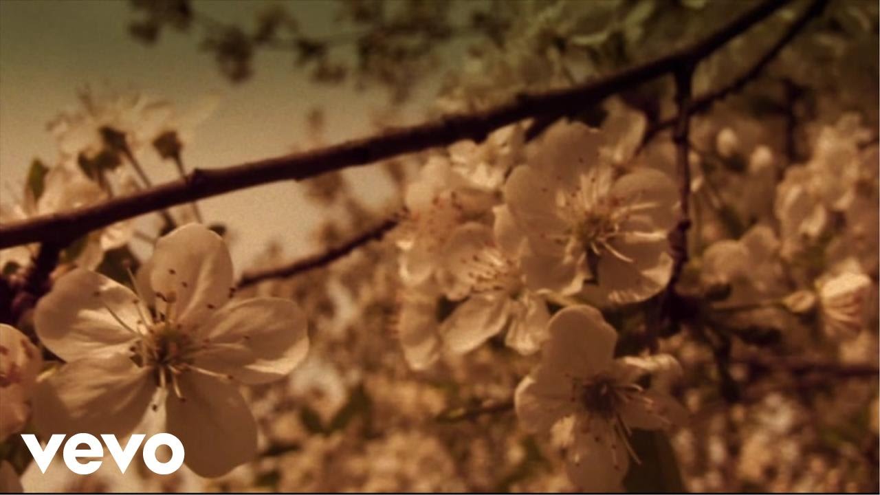 Crvena Jabuka - Često pitam za tebe
