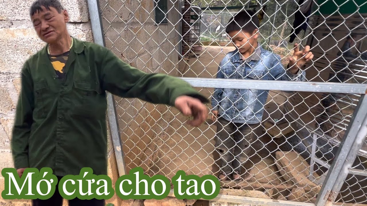 Cháu phung,ông nát rượu đòi vào nhà bằng được để được ăn cơm..!