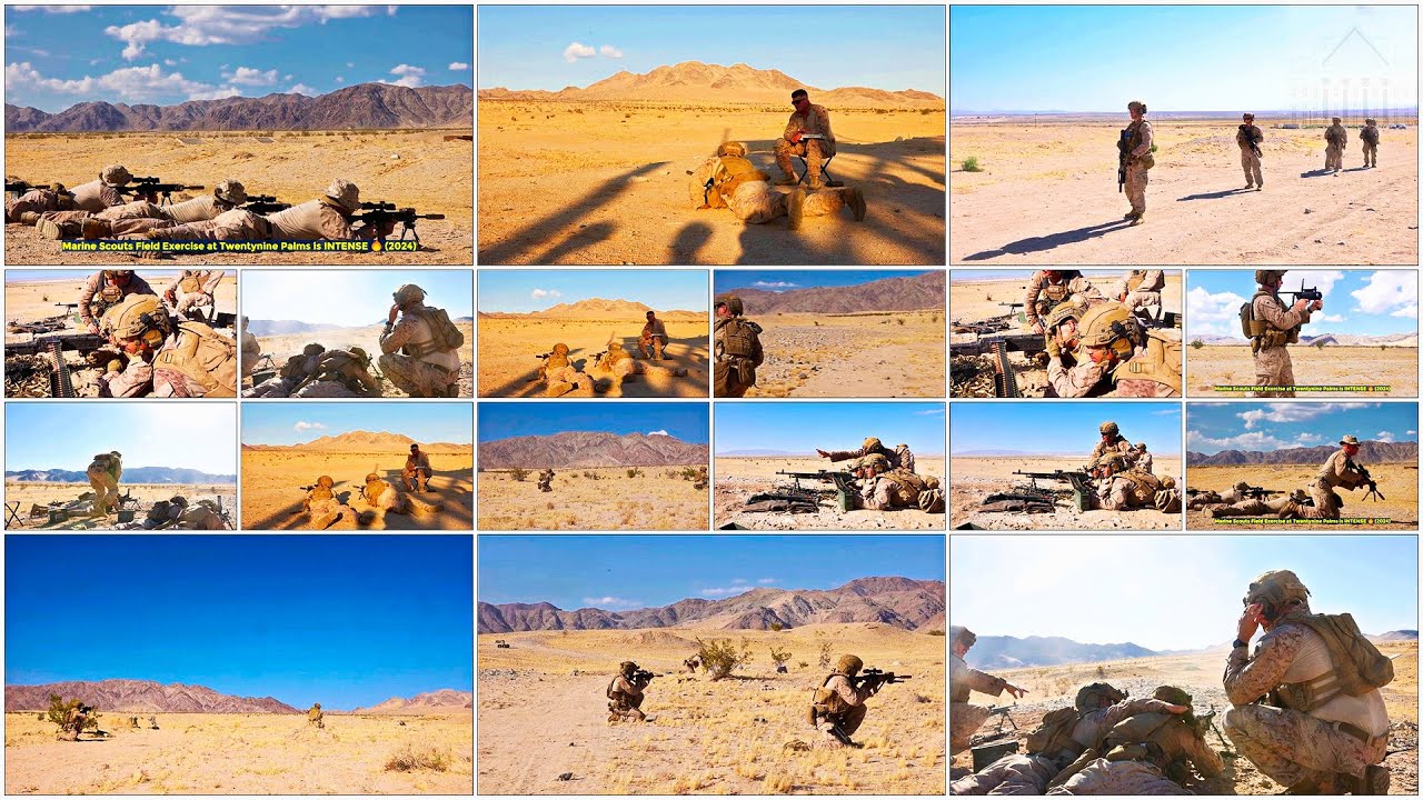Marine Scouts Field Exercise at Twentynine Palms is INTENSE 🔥 2024