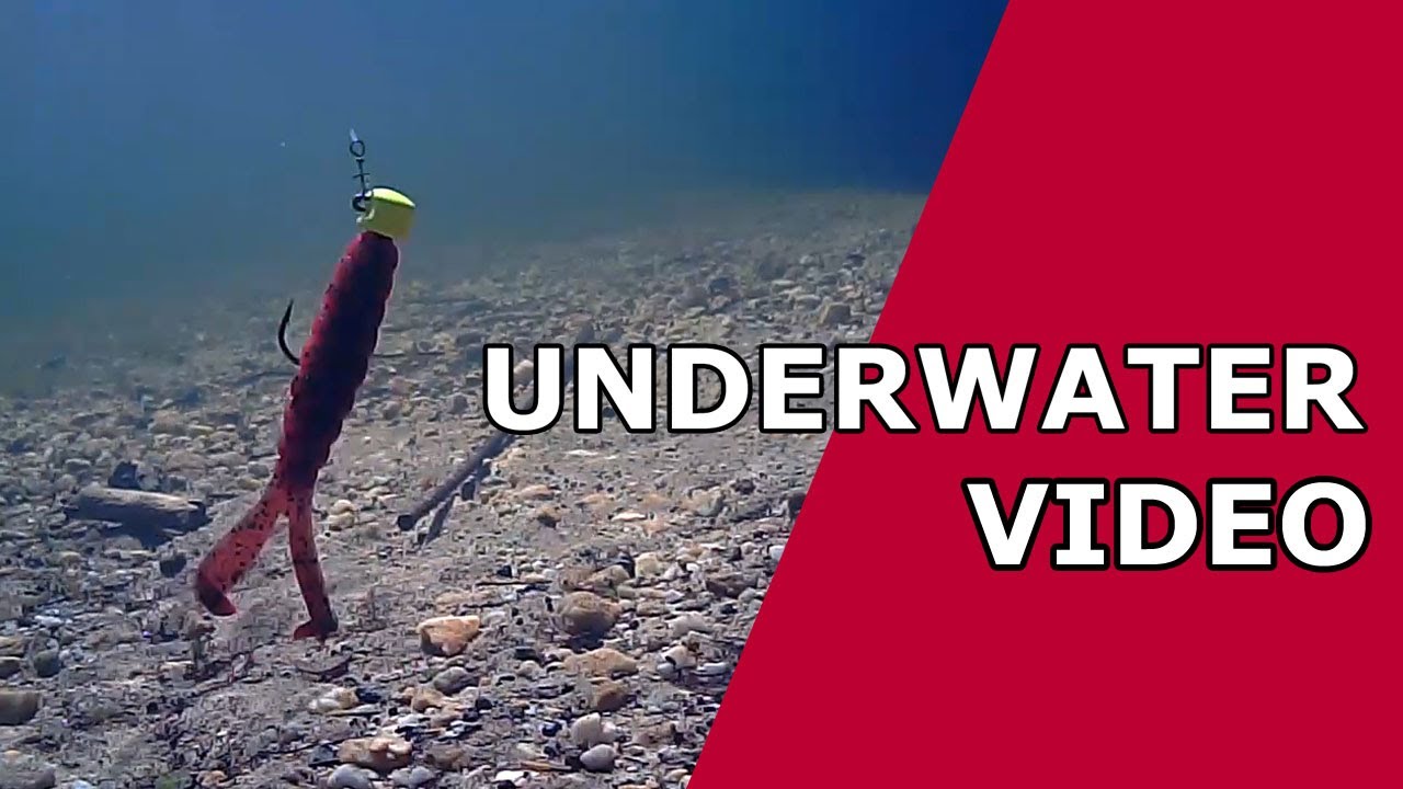 FISHING Z&ndash;Man Baby Goat Lure Underwater Footage