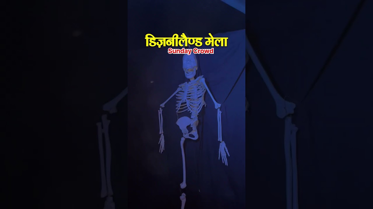 Disneyland Mela Gaya ji khel parisar #mela #gayaji #shortvideo