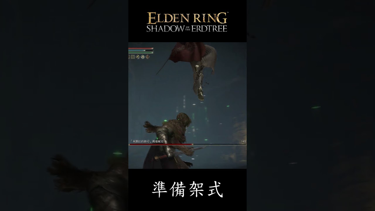 準備架式 #艾爾登法環 #eldenring #エルデンリング #shorts