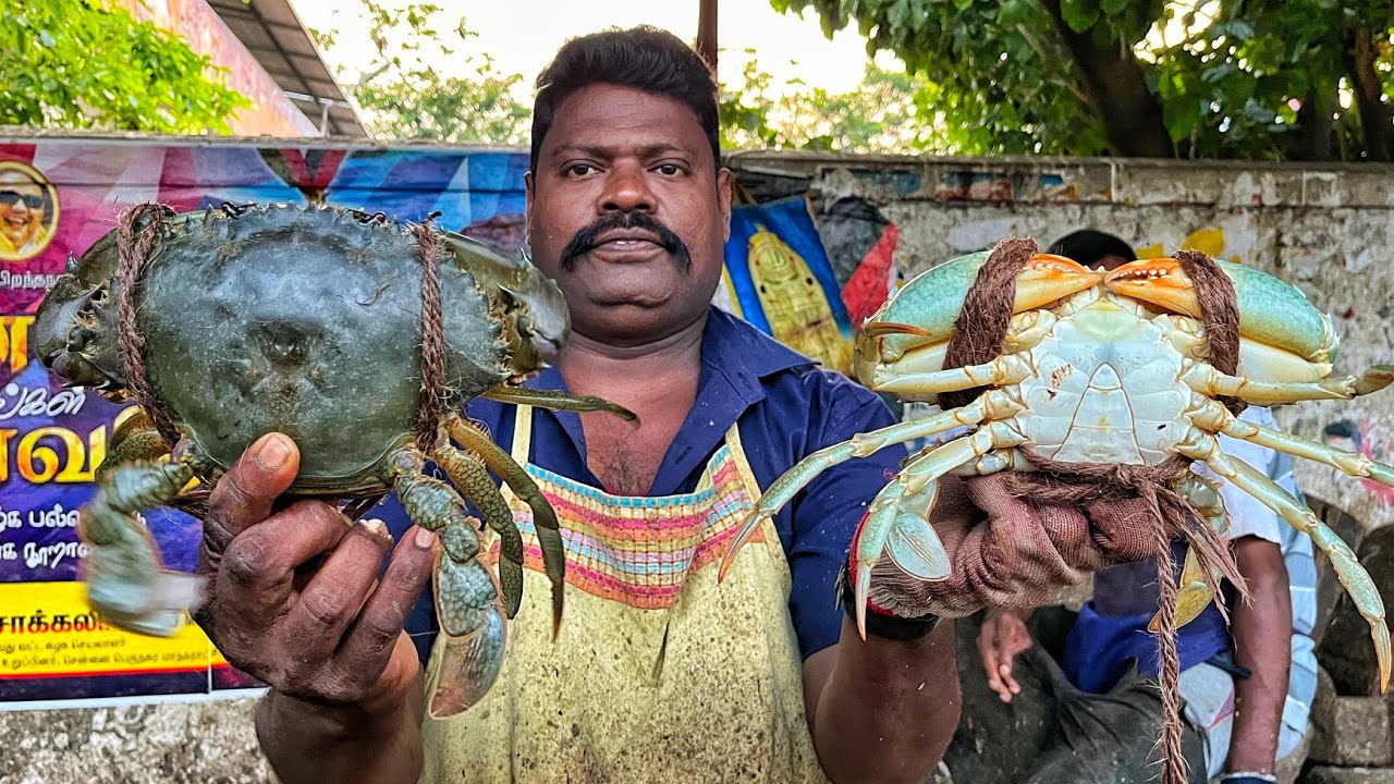 KASIMEDU SPEED SELVAM | BIG MUD CRAB 🦀 FISH CUTTING VIDEO | 4K VIDEO | KM FISH CUTTING 