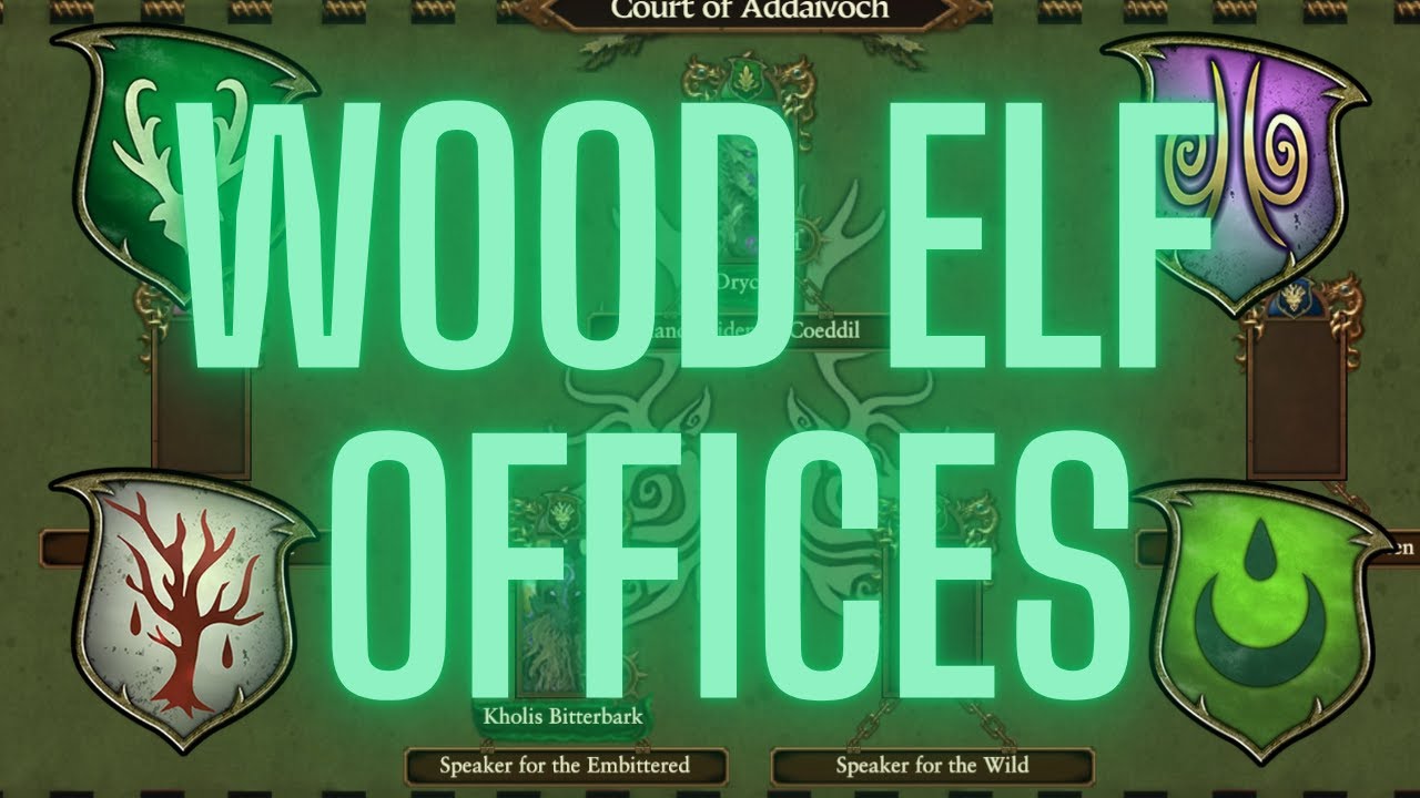 Офисы фракции лесных эльфов — отбираем лучшее от худшего — Total War Warhammer 3