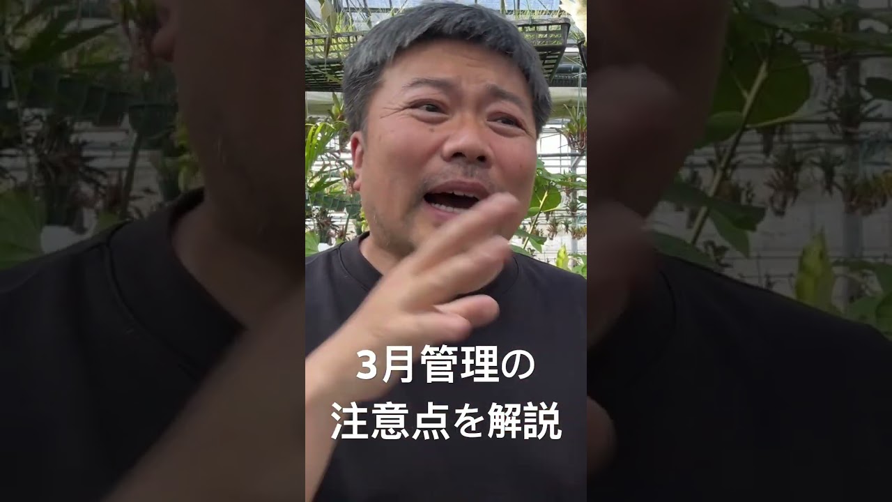 3月管理の注意点を解説❗️