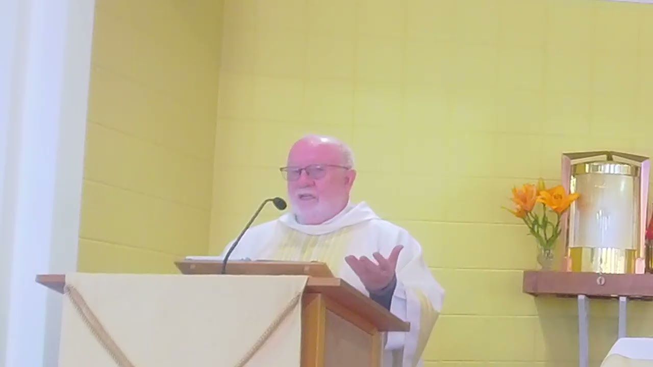 Fr Mike's Homily for the Feast of the Baptism of the Lord (11th January 2026) link here
