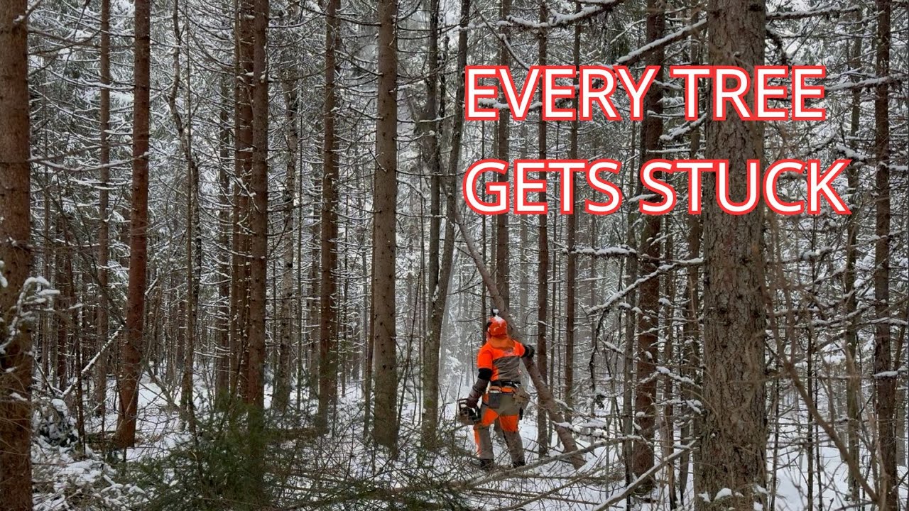 Finishing a Forest Trail with the Echo CS-4920 | Winter Forestry