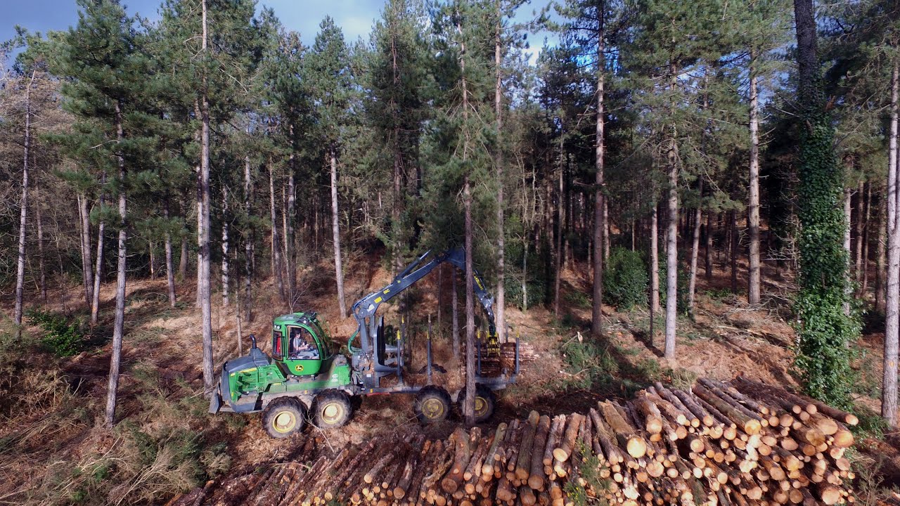 Débardage de pin en Bretagne, John Deere 1210g