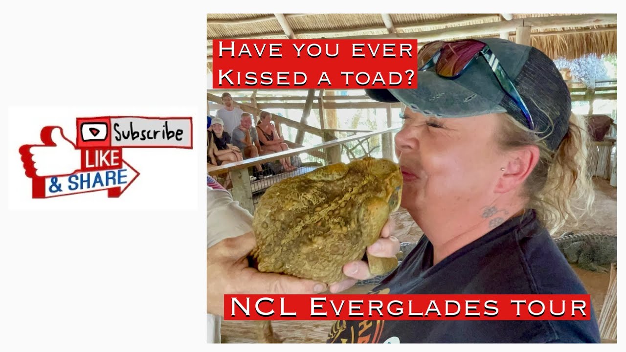 What to Do After Your NCL Cruise? Everglades Tour & Airport Transfer!