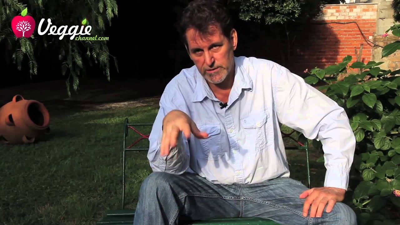 Steve Best - Vegan beslenme: İnsan i&ccedil;in en iyi beslenme bi&ccedil;imi (T&uuml;rk&ccedil;e Altyazılı-HD)
