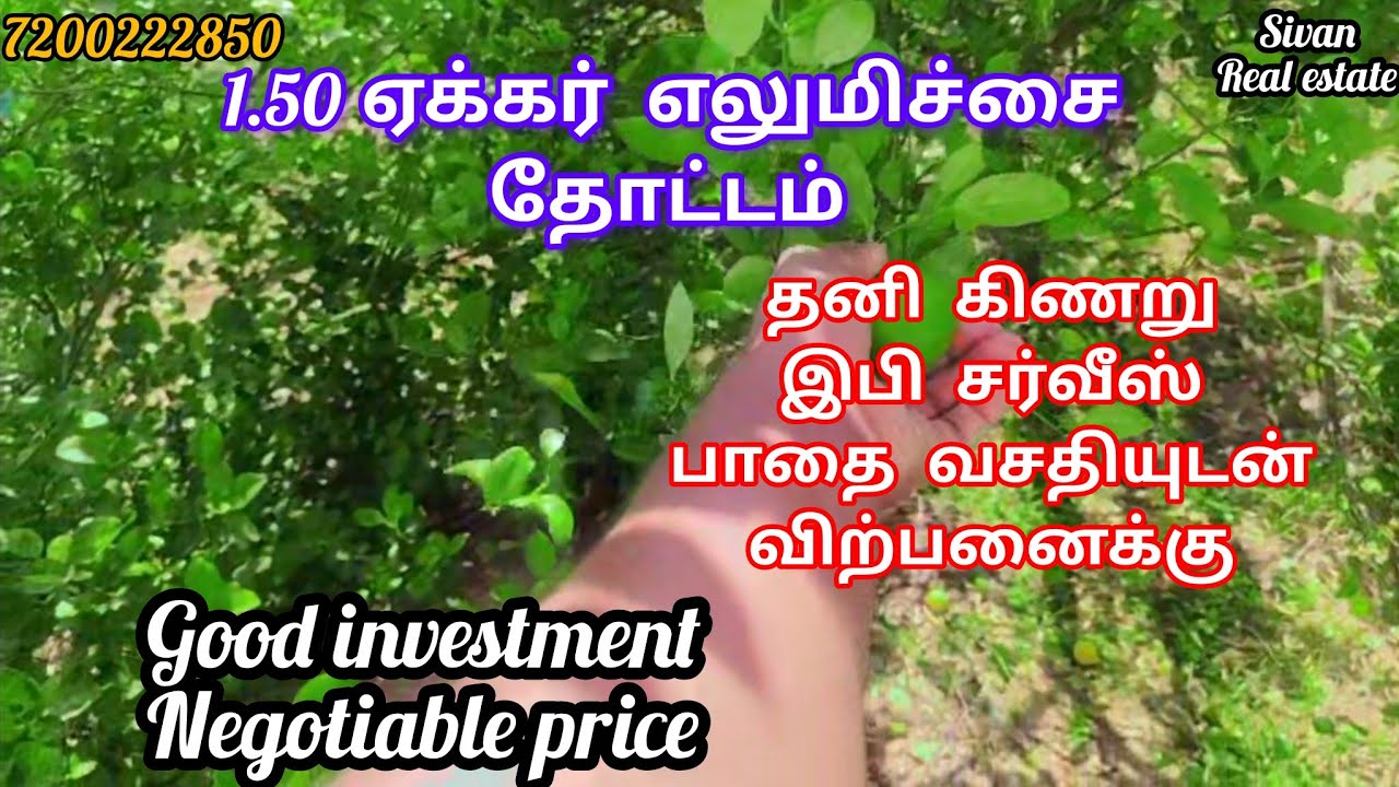 1.50 ஏக்கர் எலுமிச்சை தோட்டம் குறைந்த விலையில் விற்பனைக்கு தென்காசி மாவட்டம் புளியங்குடி அருகில்