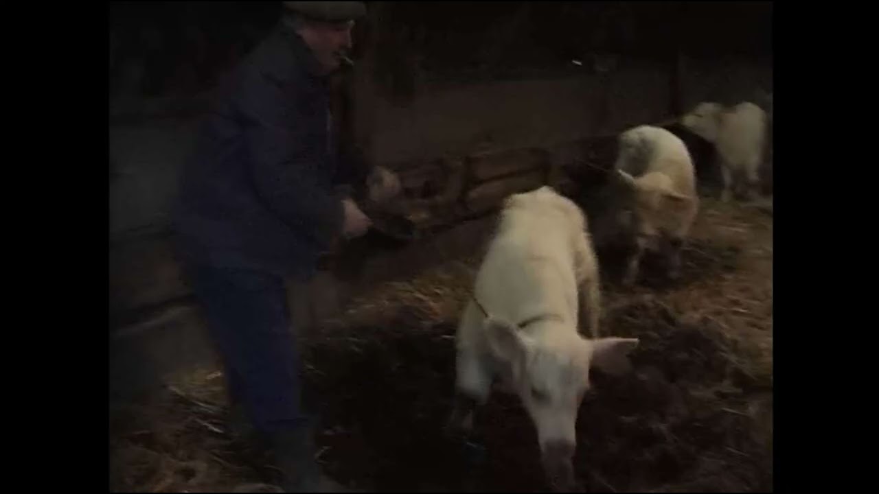 Daw din chom ba gêr da rhampless ar mevel (Maël-Carhaix)