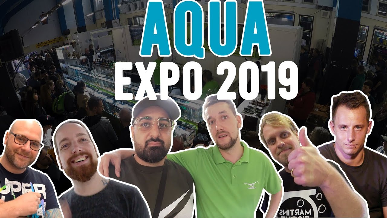 Aqua Expo 2019 mit Zoobox, Aquaowner, Martins Fische, Sascha Hoyer uvm. 😍