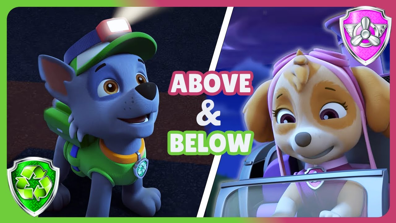 Green Means Go, Pink Means Fly! The Sky & Ground Adventures of Rocky & Skye | Rocky's Garage