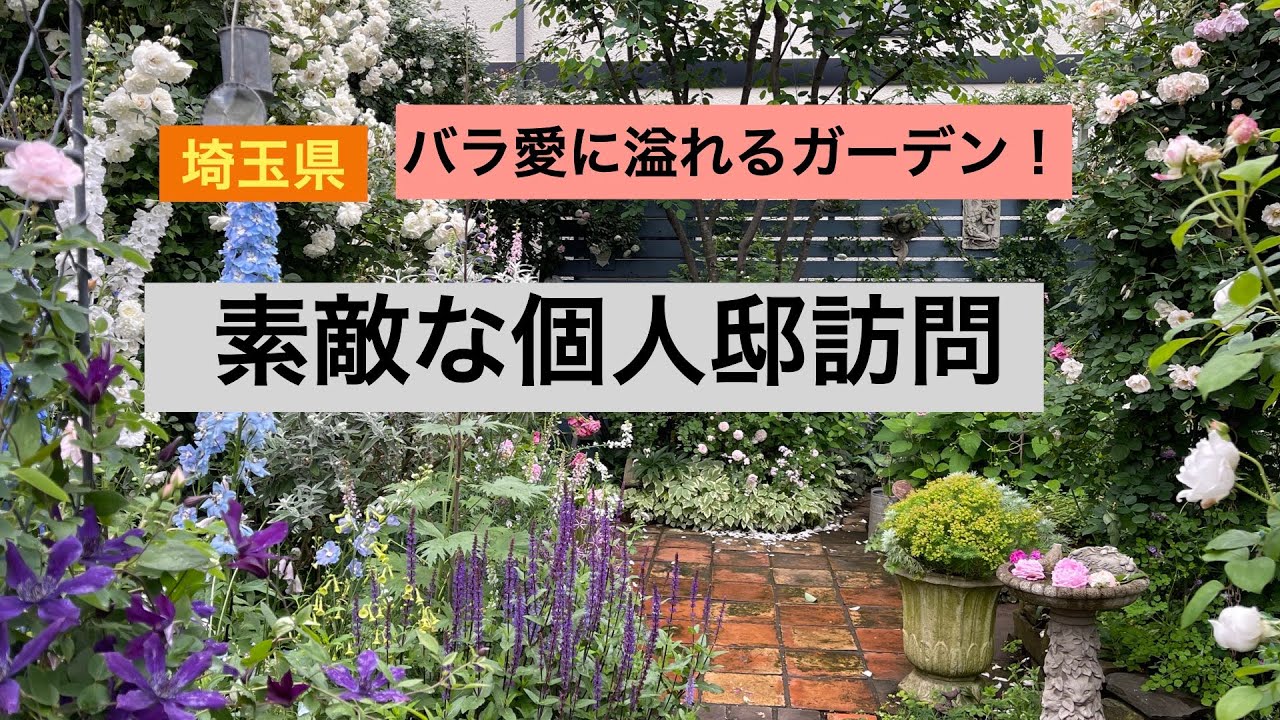 【個人邸】バラ愛があふれるガーデンで、バラとクレマチスを愛でる！