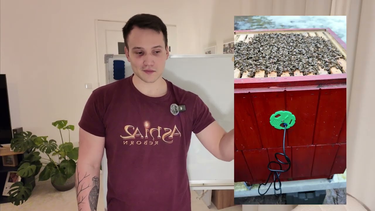 Podněcování - čím, jak, kdy a proč? - Budování včelí farmy #82