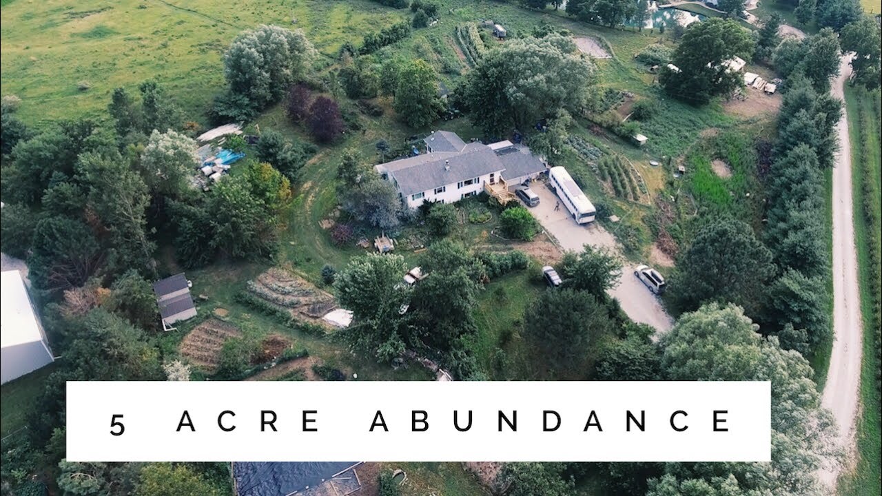 the 5 Acre Permaculture Homestead - Unbelievable Abundance