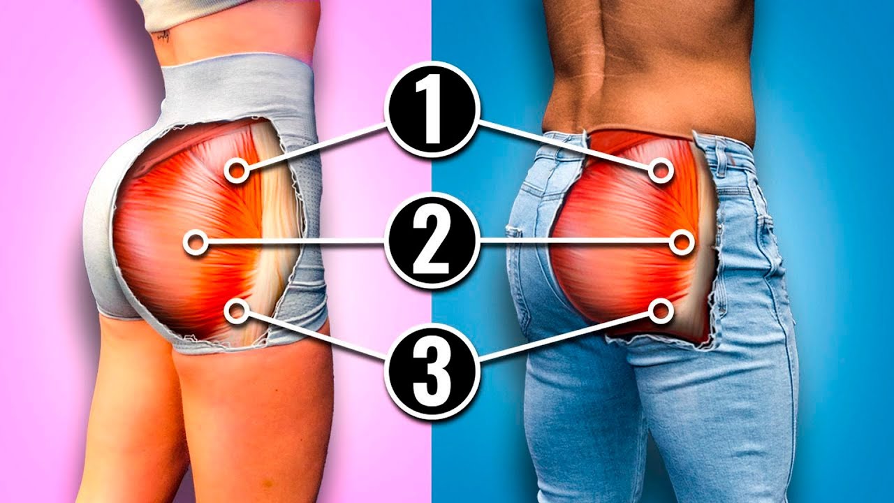 Probamos 17 ejercicios para gl&uacute;teos; &eacute;stos son los mejores para el crecimiento
