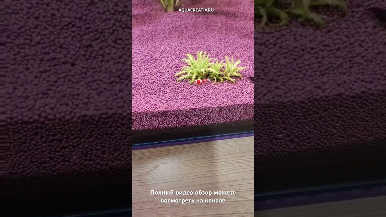 Видео обзор покупателя на светильник FLOS PRO 900